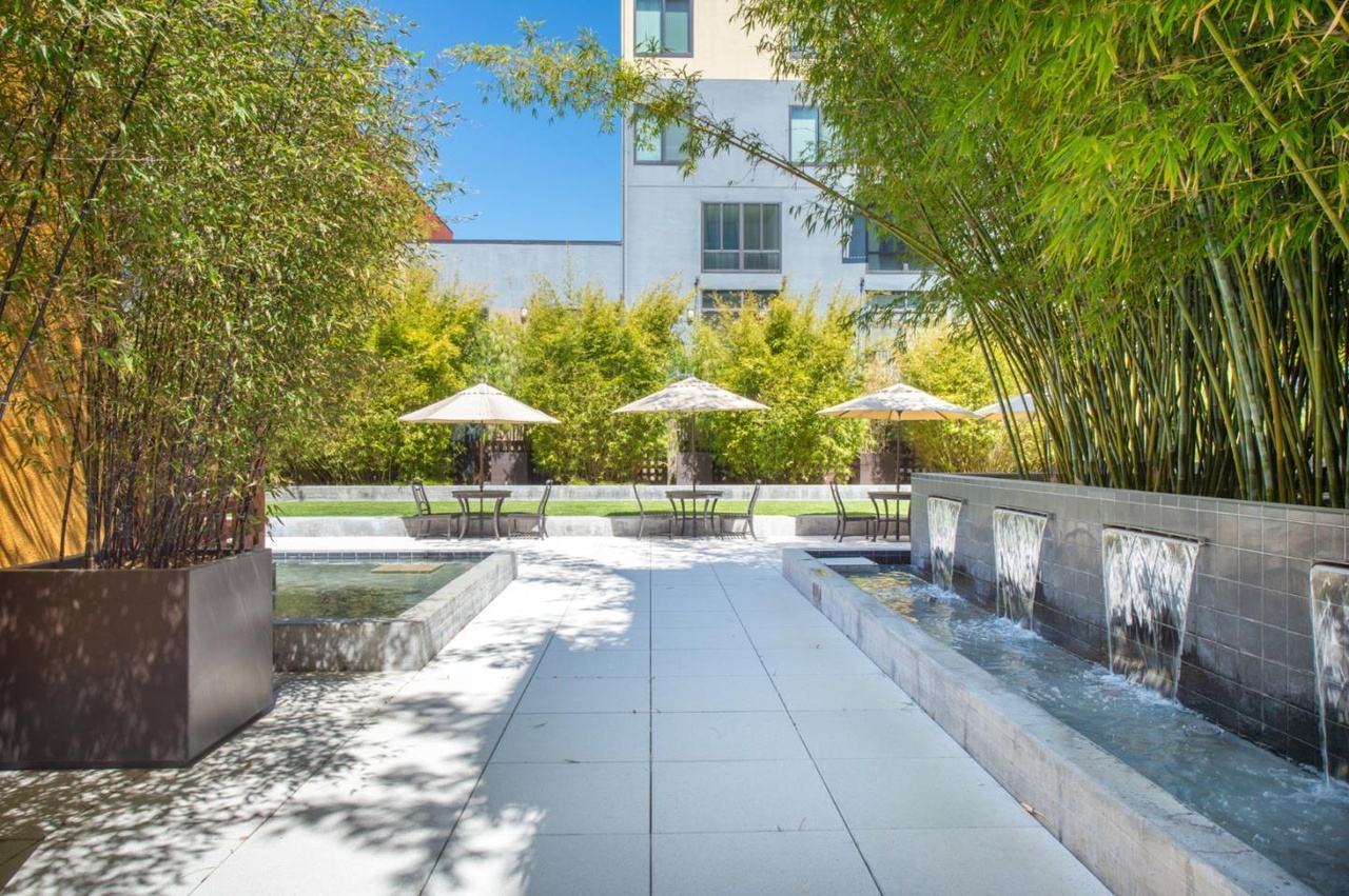 Courtyard water feature with bamboo and fountains at Plant 51